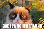 Проститутки Москвы